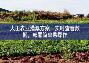 「智慧農(nóng)業(yè)」大田農(nóng)業(yè)灌溉方案，實時查看數(shù)據(jù)，部署簡單易操作