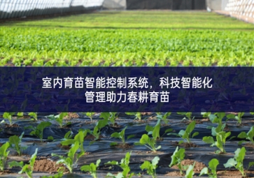 室內(nèi)育苗智能控制系統(tǒng)，科技智能化管理助力春耕育苗